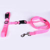 Jogging Puppy Dog Lead Collar